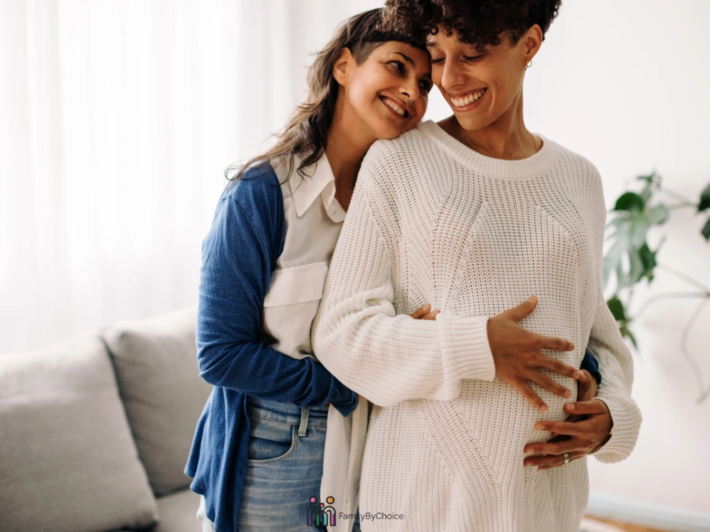 reciprocal ivf a guide for lesbian couples