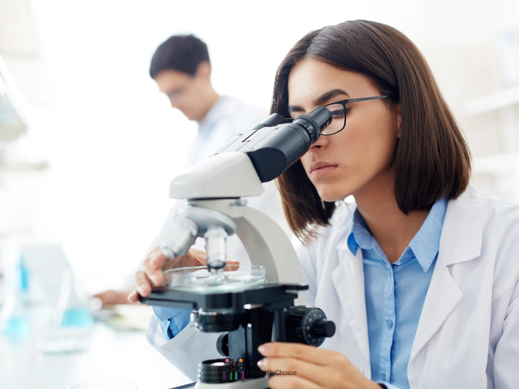 How Does the Embryo Bankig Process Actually Work