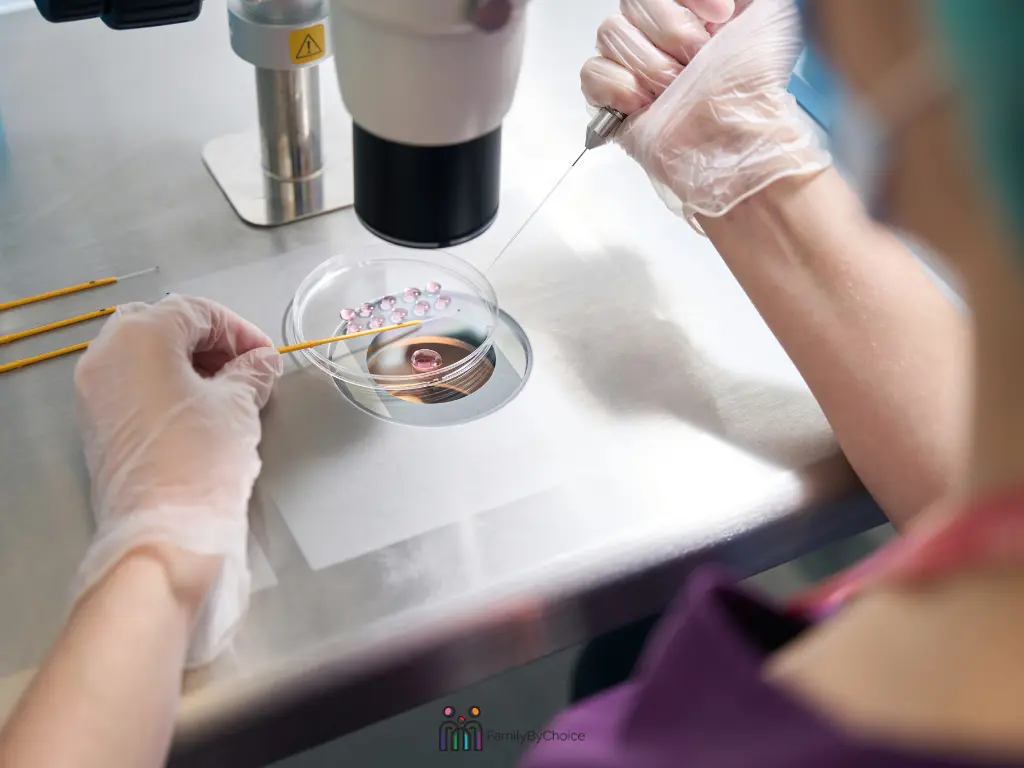 Preparing for vitrification