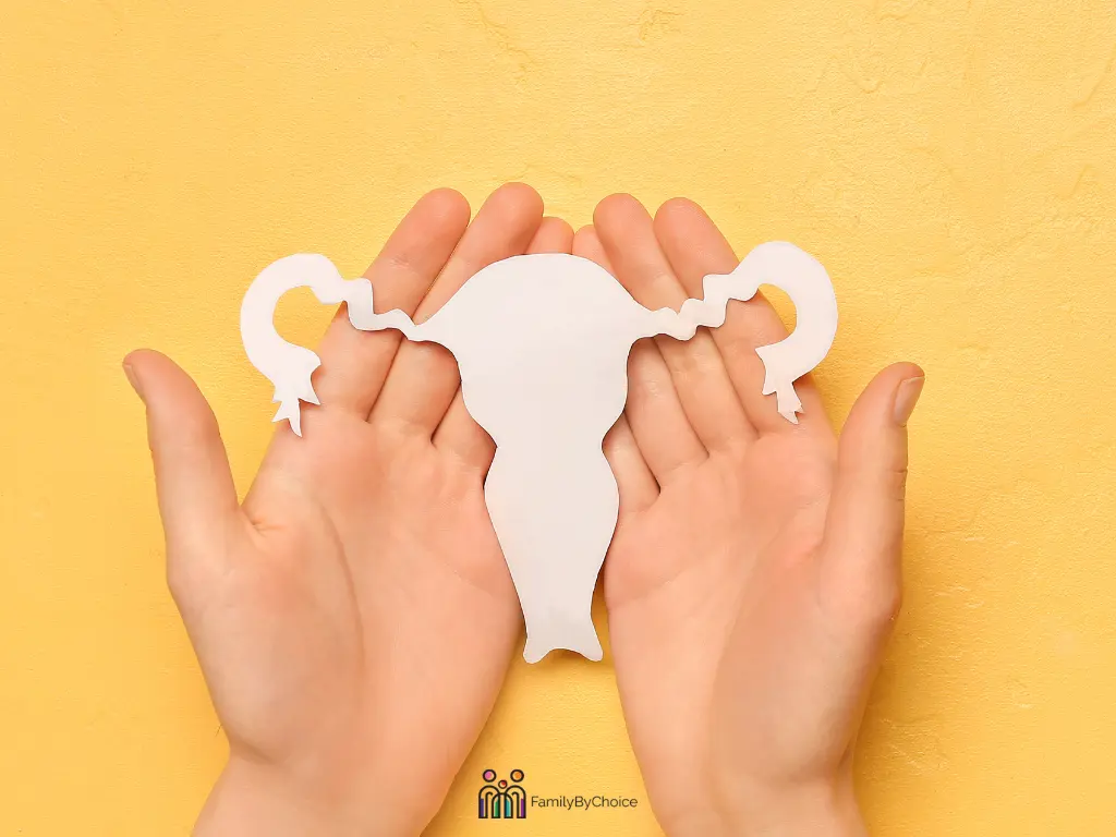 endometrial preparation