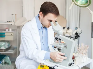 Common Myths Surrounding the IVF Lab and What the Science Actually Says in 2026