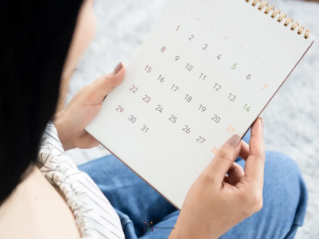 Understanding Your Menstrual Cycle and Fertility Window